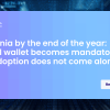 România până la finalul anului: portofelul digital devine obligatoriu, dar adopția nu vine singură