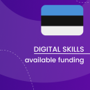 Visual for the Digital Skills Overview - Available funding in Estonia