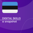 Visual for A snapshot of Digital Skills in Estonia