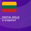 Visual for A snapshot of Digital Skills in Lithuania