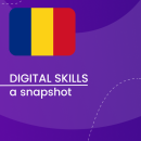 Visual for A snapshot of Digital Skills in Romania