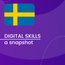 Visual for A snapshot of Digital Skills in Sweden