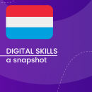 Visual for A snapshot of Digital Skills in Luxembourg
