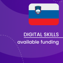 Visual for the Digital Skills Overview - Available funding in Slovenia