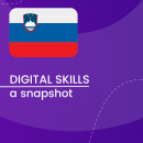 Visual for A snapshot of Digital Skills in Slovenia