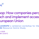  How companies perceive, approach and implement accessibility in the European Union