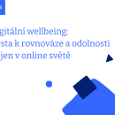 Digital Wellbeing - Czech Republic 